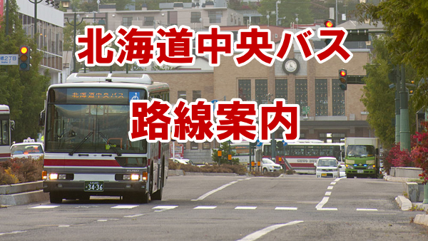 市内路線バス