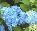 �o�X�ōs����I����ȂƂ��A����ȂƂ�