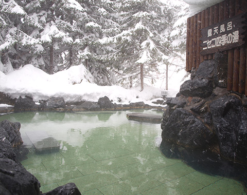 Niseko Hot Springs: Ikoino Yuyado Iroha